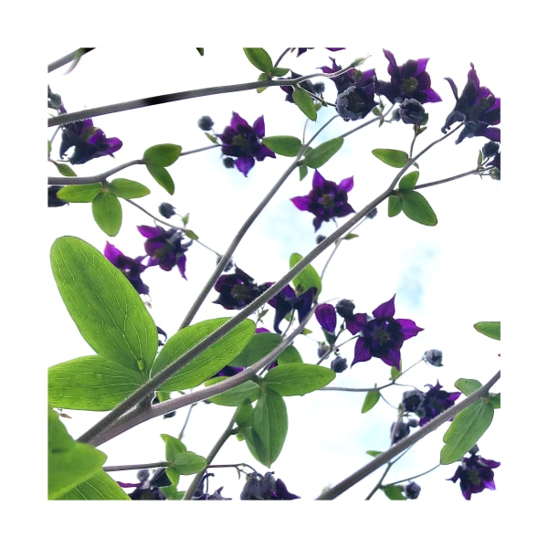 Ralf Peters, SWEETS 96 MO, 2024