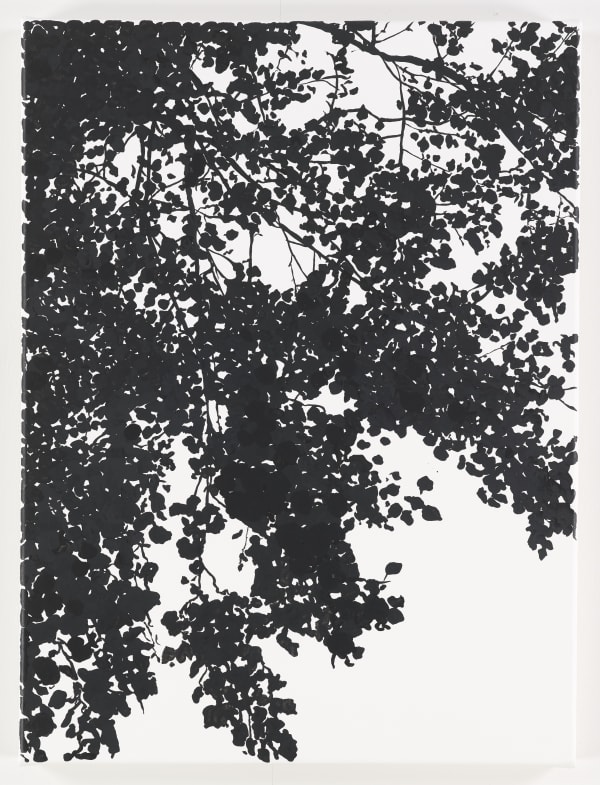 Sue Arrowsmith, Take it to the top, 2014