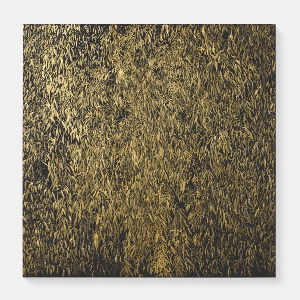 Sue Arrowsmith, Dancin`in the light, 2019