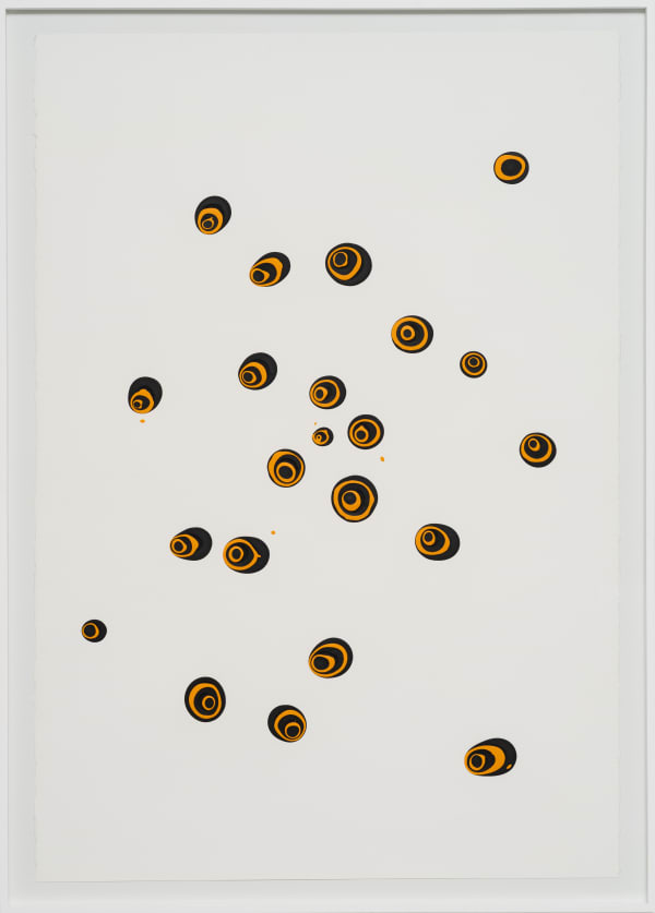 Caetano de Almeida, Colmeia II, 2022