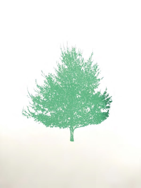 Eamon O'Kane, Green Blue Tree, 2025