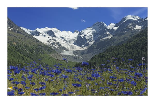 Ralf Peters, Keen Insight, "Blau, Gletscher", 2016