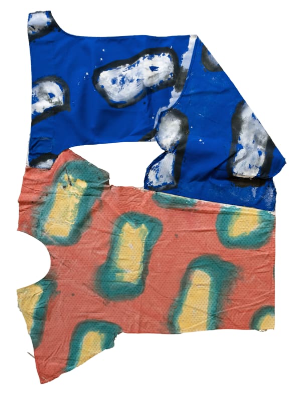 Claude Viallat, 054/2024, 2024