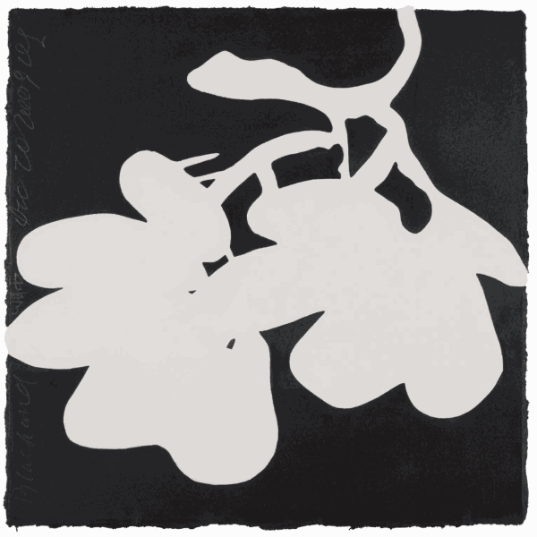 Donald Sultan, Black and White Dec 20 2009, 2009
