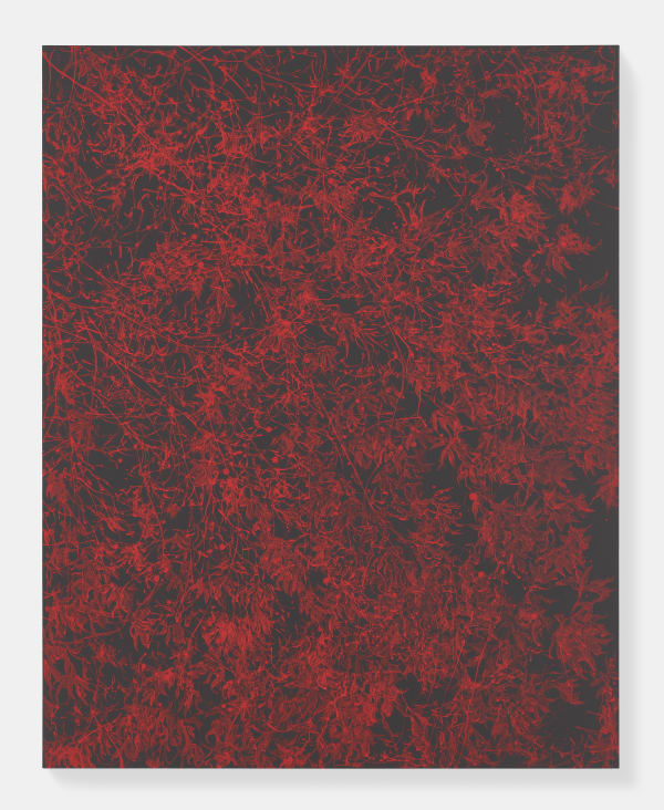 Sue Arrowsmith, I am burning up baby, 2018