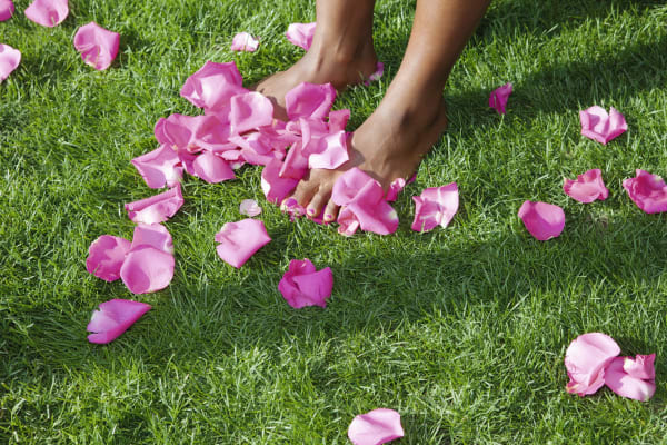 Jessica Craig-Martin, Earthly Delights (Brant Foundation), Greenwich, Connecticut, 2023