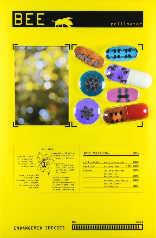 Katja Loher Where do Things in Dreams go?