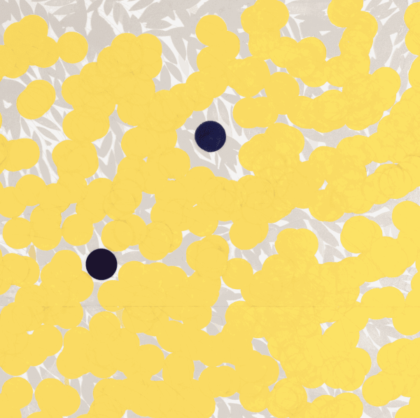 Recent Work – Mimosas