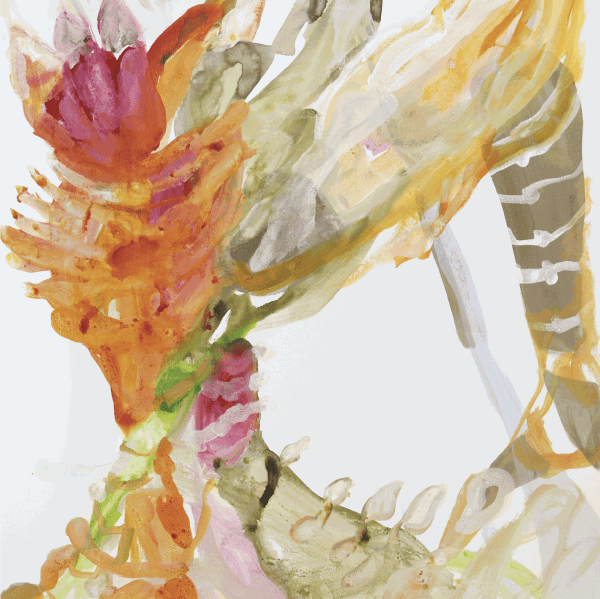 Symbiosis