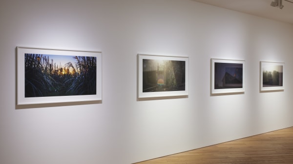 Dl 2210 Insta Atp 047 350Dpi 200Mm