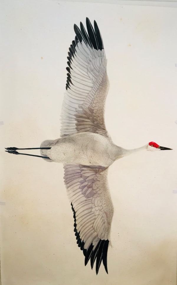 Scott Kelley Sandhill Crane, 2018 Watercolor on paper 87 x 55 inches Titled, dated, signed lower center For sale at Surovek Gallery