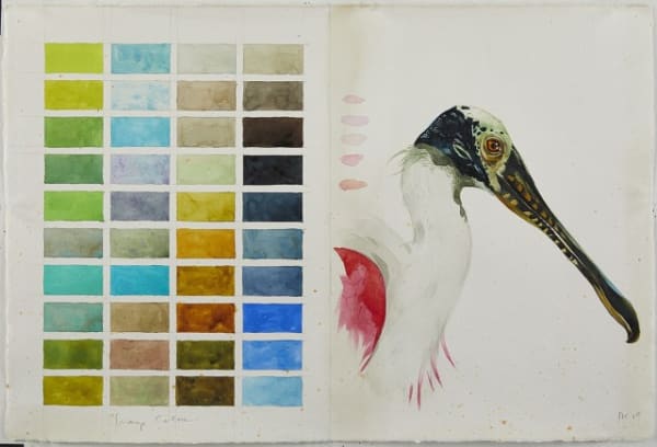 Scott Kelley Swamp (Pages 16-17), 2019 Watercolor and Graphite on paper 15 x 22 inches For sale at Surovek Gallery