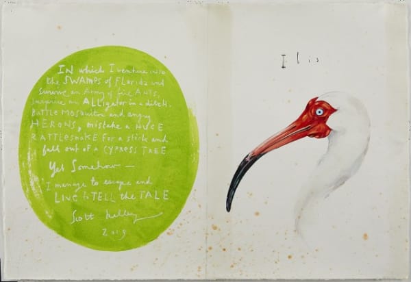 Scott Kelley Swamp (Pages 18-19), 2019 Watercolor, gouache and graphite on paper 15 x 22 inches For sale at Surovek Gallery