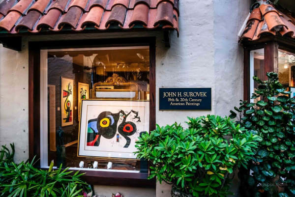 Surovek Gallery 349 Worth Avenue, 8 Via Parigi