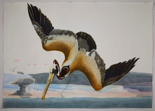 Scott Kelley PELICAN- BISCAYNE BAY, 2020 Watercolor and gouache on paper 55 1/4 x 77 1/2 inches Available at Surovek Gallery