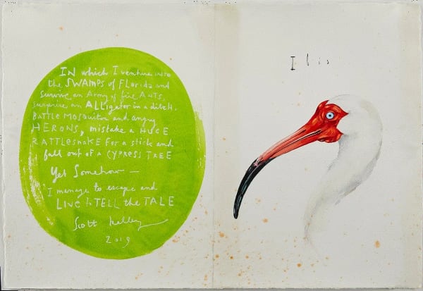 Scott Kelley SWAMP (PAGES 18-19), 2019 Watercolor on paper 15 x 22 inches Available at Surovek Gallery