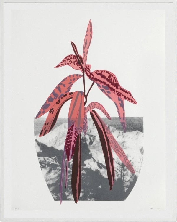 Jonas Wood UNTITLED, 2014 Lithograph and screenprint in colors on 50 oz Coventry Rag paper 48 x 37 1/8 in PP1 Available at Surovek Gallery