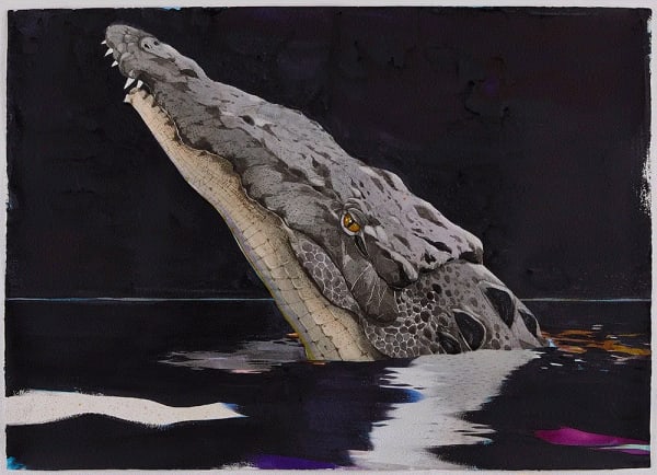 Scott Kelley NIGHT ON THE LOXAHATCHEE, 2017 Watercolor and gouache on paper 34 x 48 inches Available at Surovek Gallery