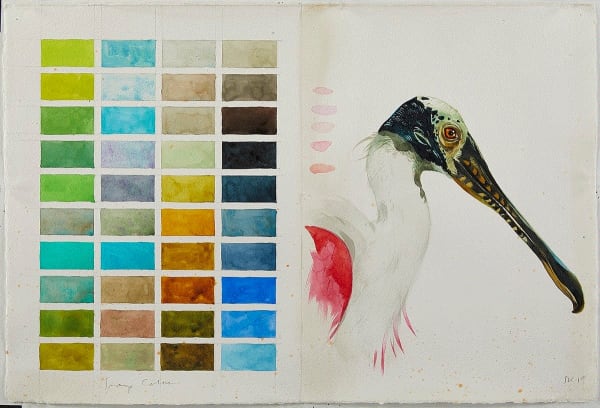 Scott Kelley SWAMP (PAGES 16-17), 2019 Watercolor on paper 15 x 22 inches Available at Surovek Gallery