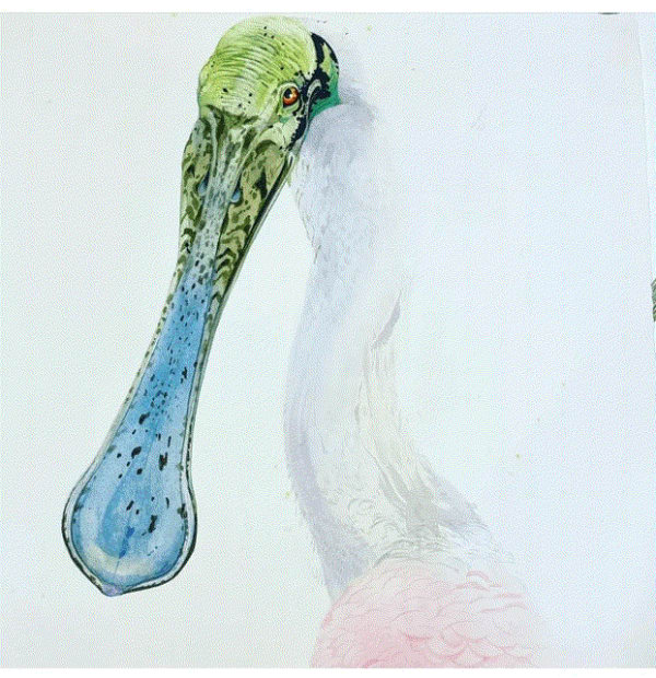 Scott Kelley SPOONBILL, 2023 Watercolor, gouache and ink on paper 40 x 30 in 101.6 x 76.2 cm Available at Surovek Gallery