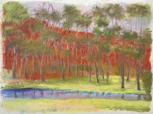 Wolf Kahn FOREGROUND POND, 1997 Pastel 22 x 30 in 55.9 x 76.2 cm Available at Surovek Gallery