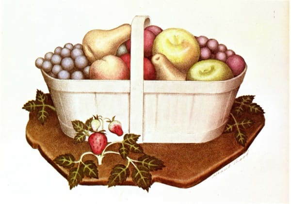 Grant wood Fruits, 1939 Medium: Lithograph, hand colored by Nan Wood Graham Image Size: 7 x 10 inches Sheet Size: 11 ½ x 16 inches Edition of 250 Signed (l.r.): Grant Wood For sale at Surovek Gallery