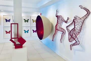 DTR Modern Gallery at 408 Hibiscus Avenue
