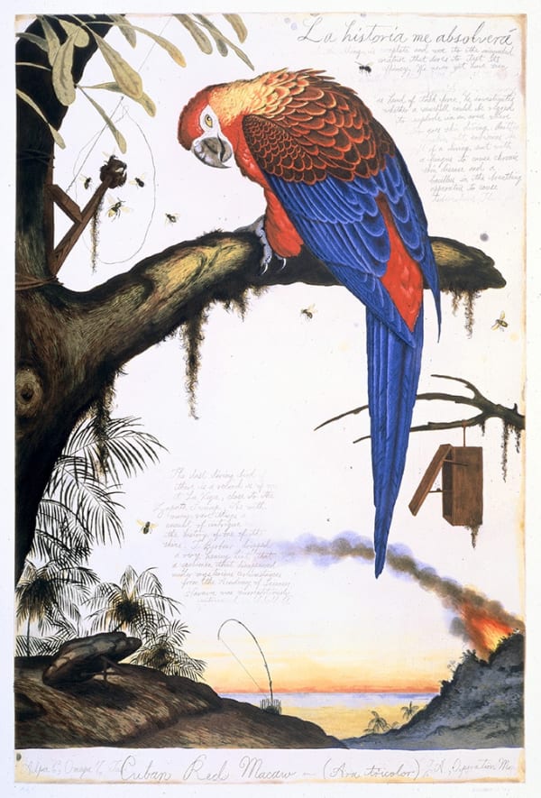 Walton Ford La Historia Me Absolverá, 1999 Six-color hardground and soft ground etching, aquatint, spit-bite aquatint, drypoint and roulette on Somerset satin paper 44 x 30 inches Edition of 50 Signed and dated: Lower right For sale at the Surovek Gallery