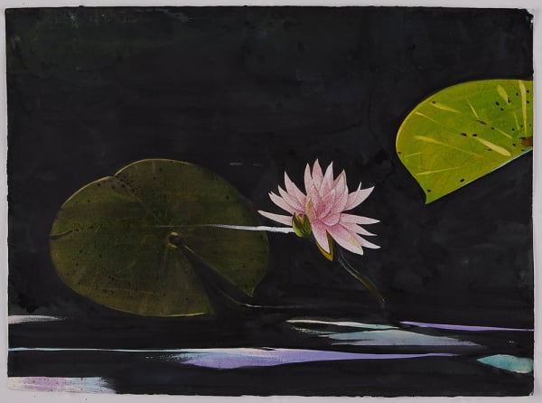 Scott Kelley Lily Pads, Loxahatchee, 2017 Watercolor on paper, 22 x 30 inches Titled, dated, signed lower center