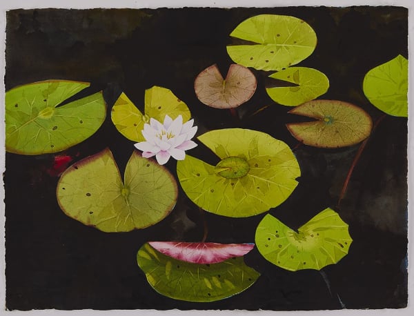 Scott Kelley The Riddle of the Lily Pads, 2017 Watercolor on paper 22 x 30 inches Titled, dated, signed lower center For sale Surovek Gallery