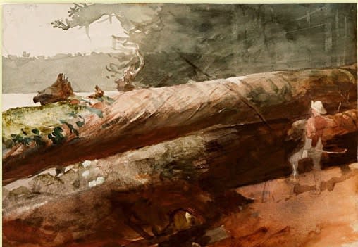 Winslow Homer Tree Across the Trail, c.1894 Watercolor on paper, 13 1/4 x 19 inches For sale at Surovek Gallery