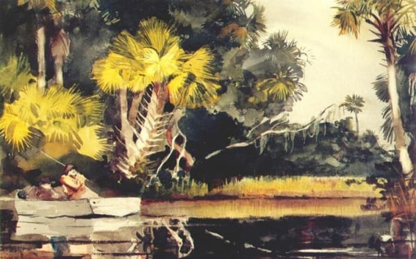 Winslow Homer Homosassa Jungle, 1904
