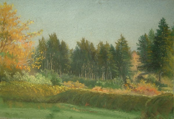 Hedgerow with Woodland