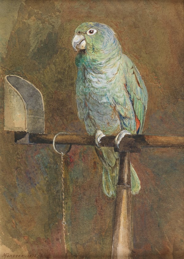 Polly the Parrot