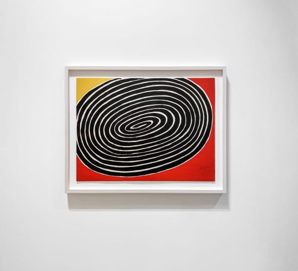 Installation Shot Calder