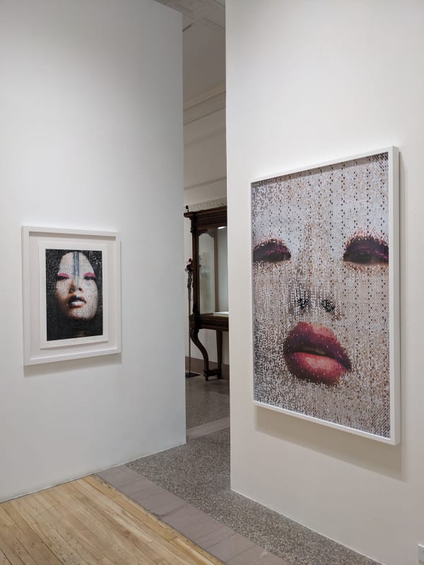 Martinrondeau Focus Glr60 2023