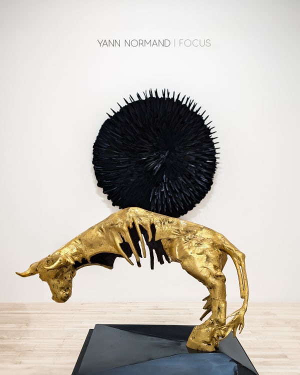 Glr Yannnormand Focus Installshots6