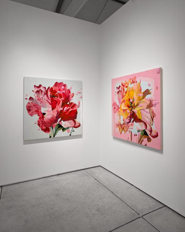 Pxl 2024Lk1203 023925491 Raw 01 Cover