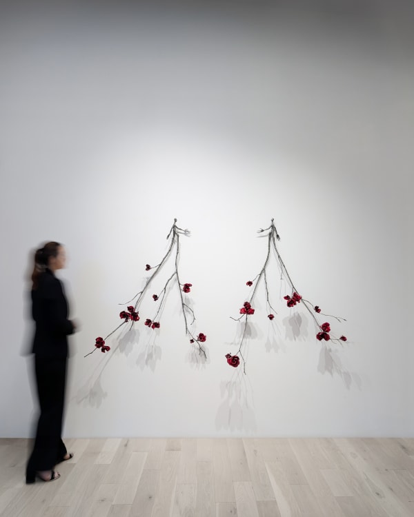 Pxl 20250808 165008390 Long Exposure 01 Cover