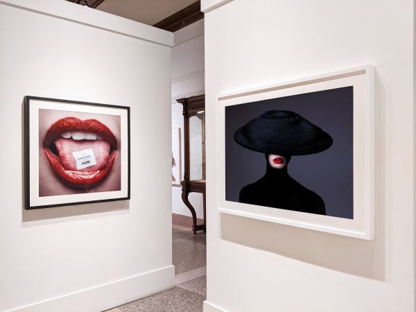 Tyler Shields Focus Glr60 5