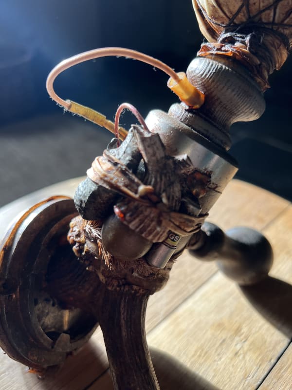 Anthrocombitool no. 6, 2023