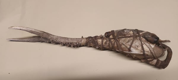 Anthropaleo bundle no.1, 2023