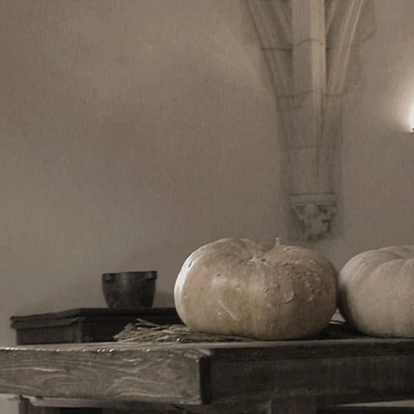 Joonsung BAE, The Costume of Painter - Still life with poppy 3D, ss, 2023