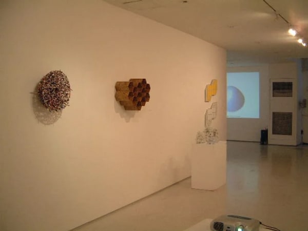 보로노이 다이어그램 진화공간 (Voronoi Diagram - Evolutionary Space)