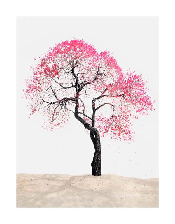 김광수 : Fantastic Reality