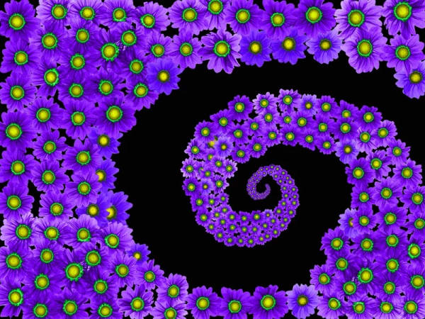 정태섭 : X-Ray로 봄을 보다