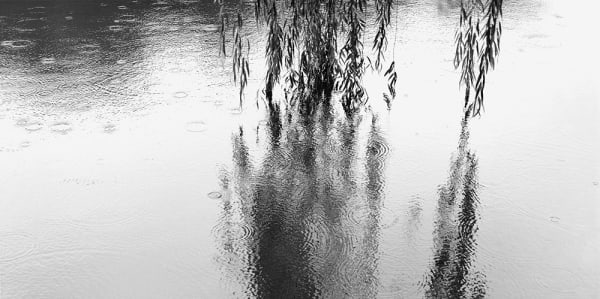 김대수 DaeSoo Kim, everything is...