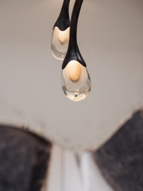 Galeriegastou Irenecattaneo Photo Edouardauffray 18