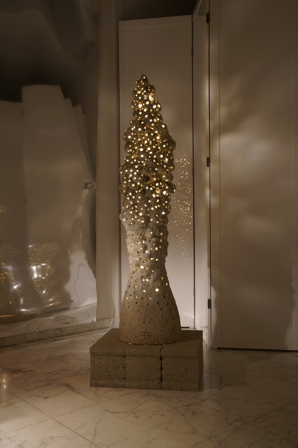 Angès Debizet, "Morilles" totem, by night