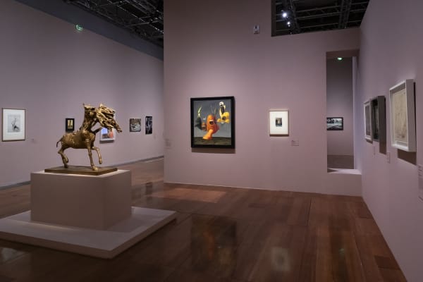 © Photo Anthony Voisin / BnF